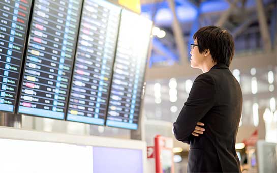 行李丢失与行李延误保障 | Insubuy